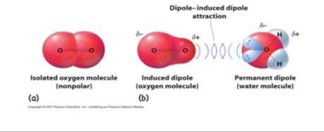 Dipol-İndüklenmiş Dipol Etkileşmeleri Polar moleküllerle apolar moleküller arasındaki